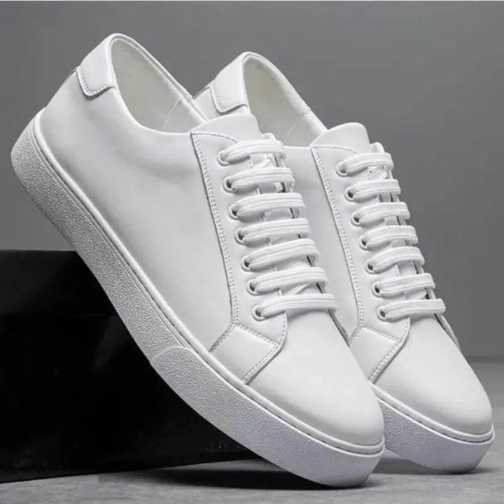 Comfortable Lace-Up Sneaker for Men